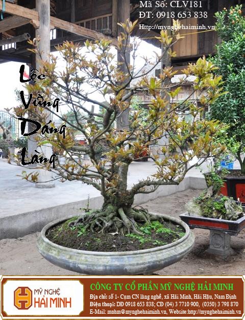 Do go my nghe Hai Minh - Hai Hau - Nam Dinh